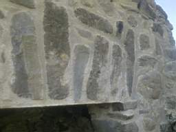 bellanamullia - 1333.jpg